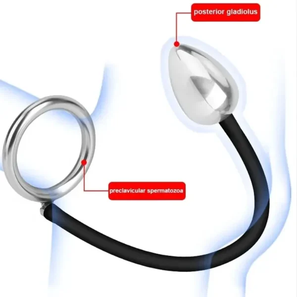 anal plug für erregung steigerung