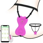 ferngesteuerte vibrations unterhose