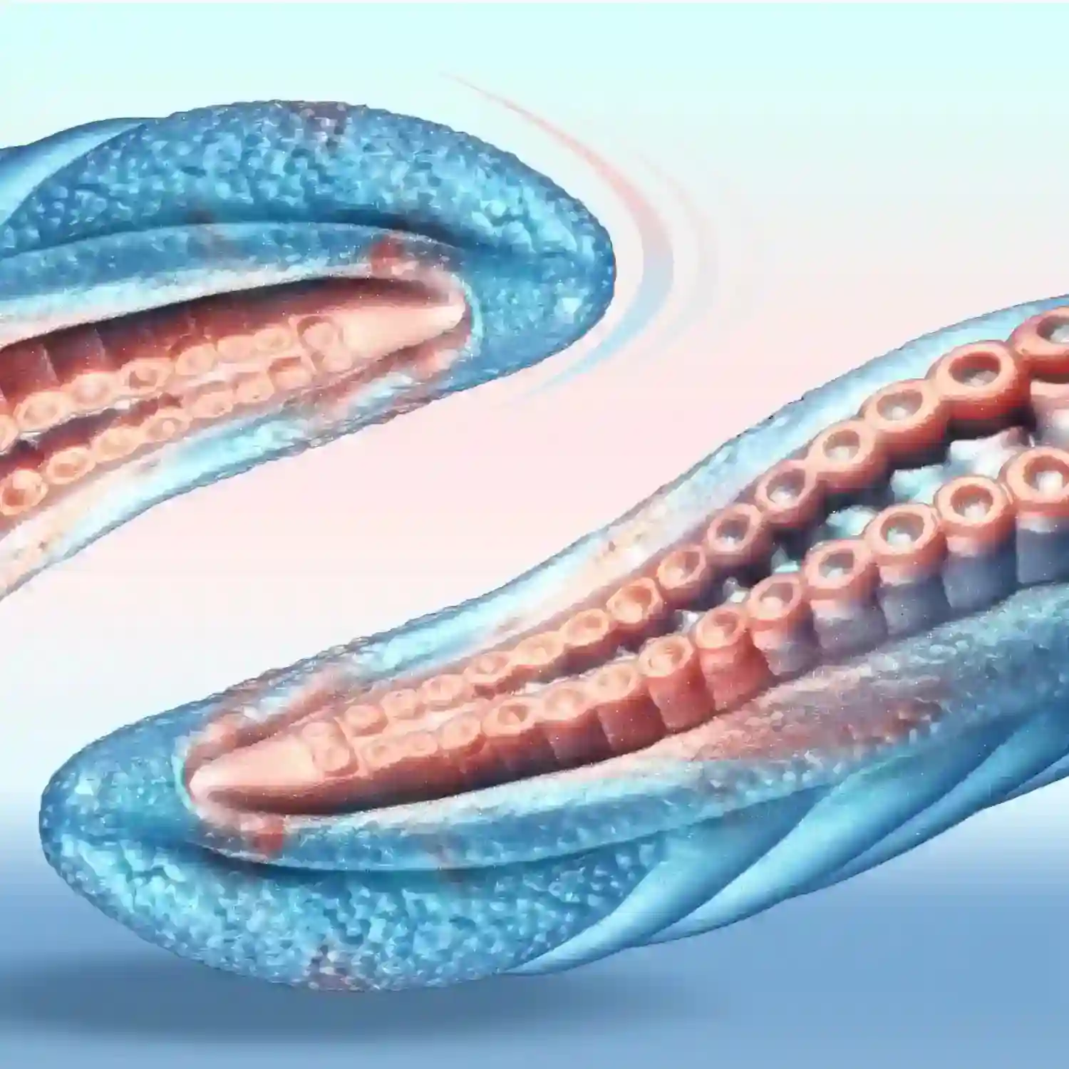 glatter silikon dildo in tentakelform