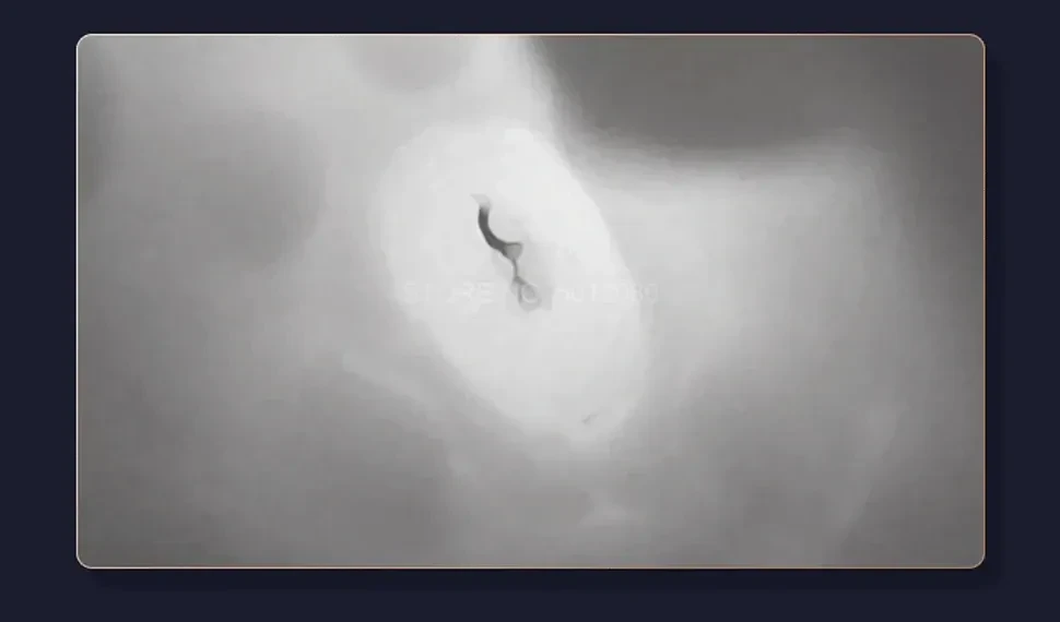 vibrations masturbator einfache reinigung