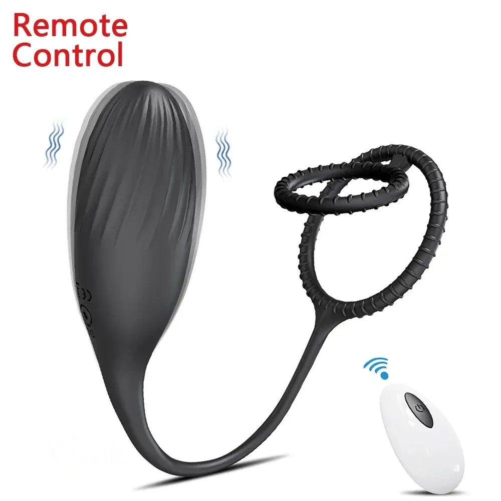 vibrator mit fernbedienung app