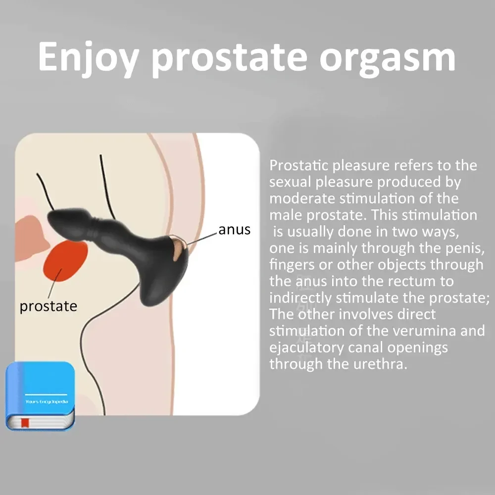 anal plug mit app steuerung