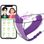 app gesteuerter panty vibrator