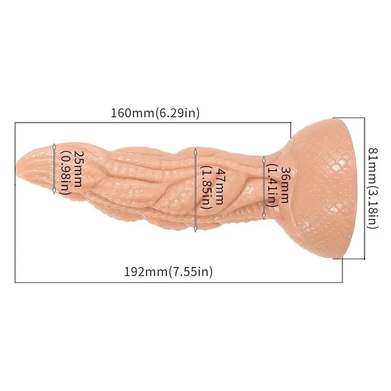drachen anal plug textur