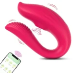 elektronischer paar vibrator